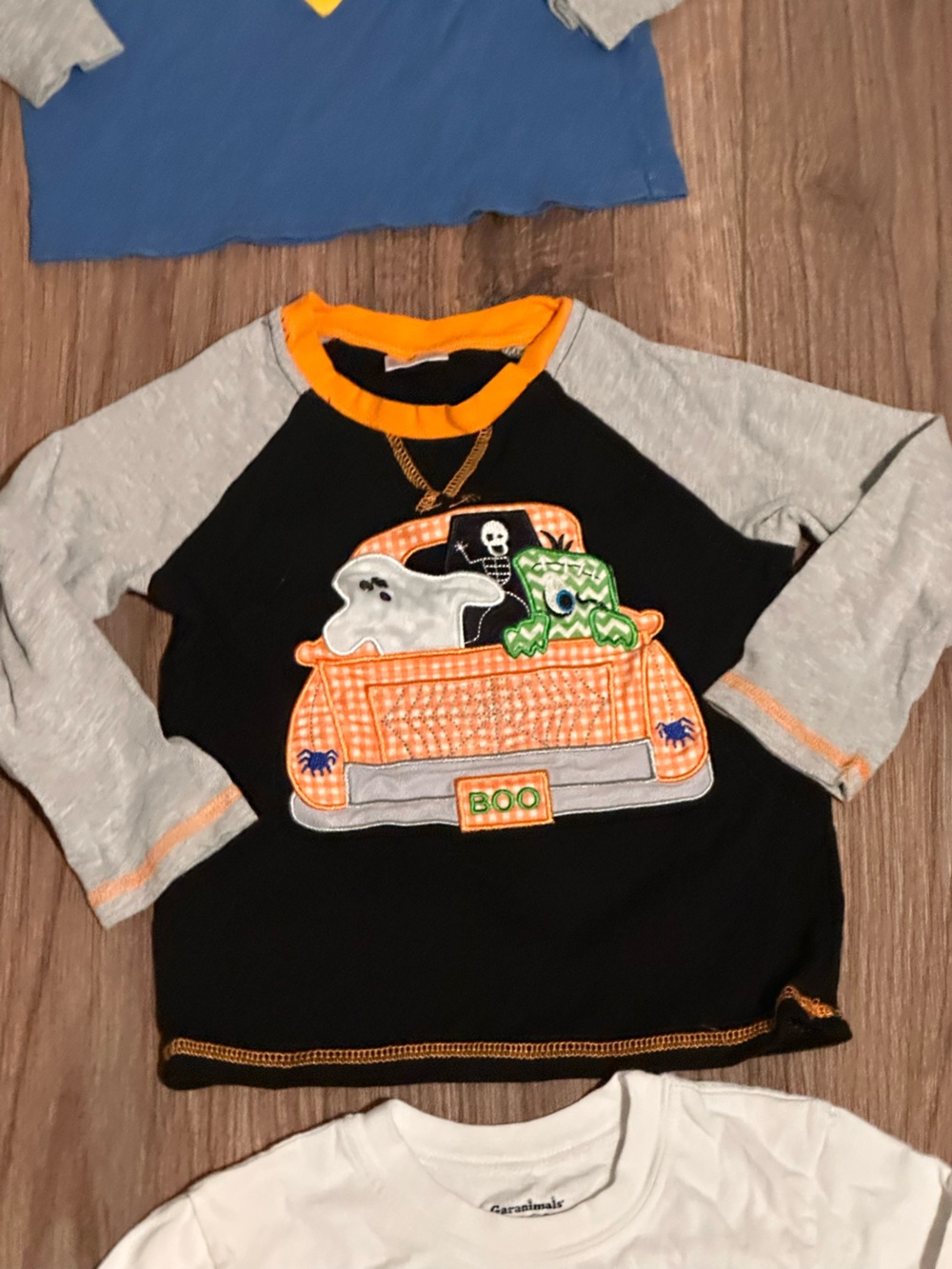 Bundle of Boys 3T Long Sleeve Top and Sweaters - Picture 3 of 12